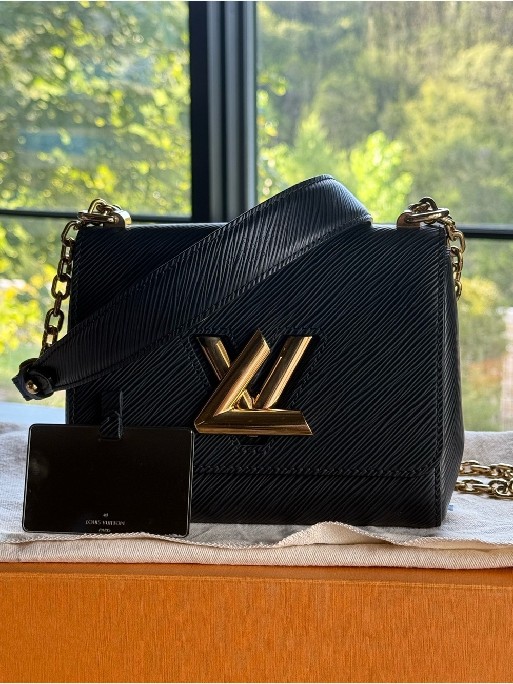 Louis Vuitton Epi Twist Shoulder Bag PM Black - Epi Leather